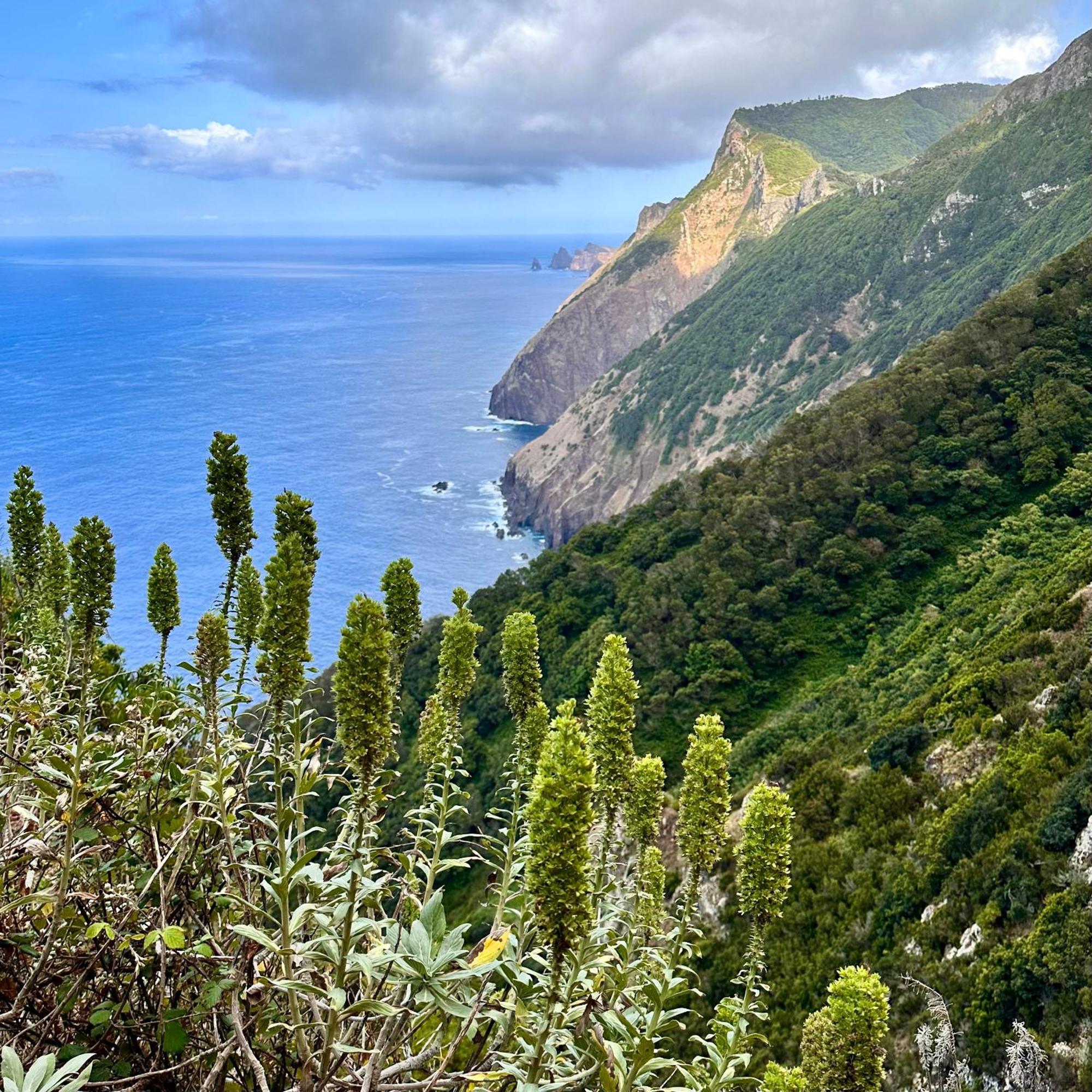 פונשל Getaway To Blue Paradise At Madeira Island מראה חיצוני תמונה